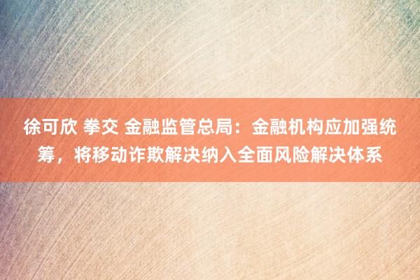 徐可欣 拳交 金融监管总局：金融机构应加强统筹，将移动诈欺解决纳入全面风险解决体系