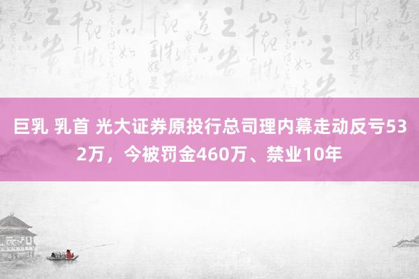 巨乳 乳首 光大证券原投行总司理内幕走动反亏532万，今被罚金460万、禁业10年