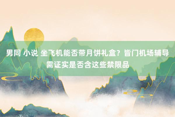 男同 小说 坐飞机能否带月饼礼盒？皆门机场辅导需证实是否含这些禁限品