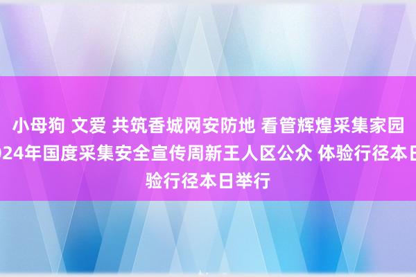 小母狗 文爱 共筑香城网安防地 看管辉煌采集家园——2024年国度采集安全宣传周新王人区公众 体验行径本日举行