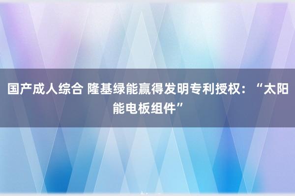 国产成人综合 隆基绿能赢得发明专利授权：“太阳能电板组件”