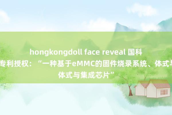 hongkongdoll face reveal 国科微获取发明专利授权：“一种基于eMMC的固件烧录系统、体式与集成芯片”