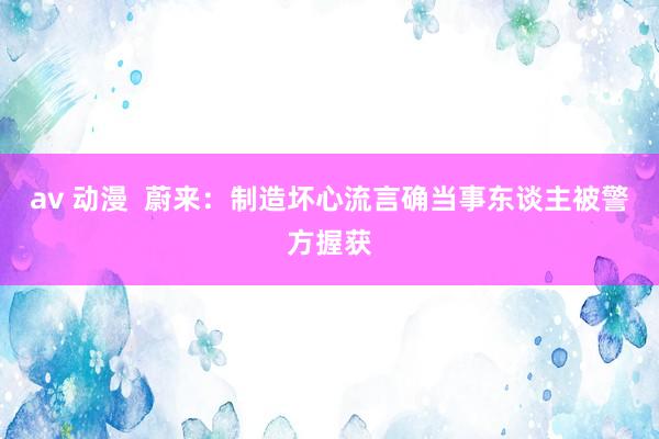 av 动漫  蔚来：制造坏心流言确当事东谈主被警方握获