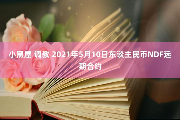 小黑屋 调教 2021年5月10日东谈主民币NDF远期合约