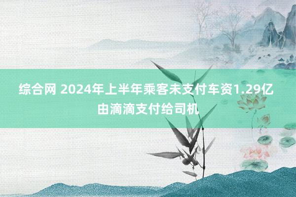 综合网 2024年上半年乘客未支付车资1.29亿 由滴滴支付给司机