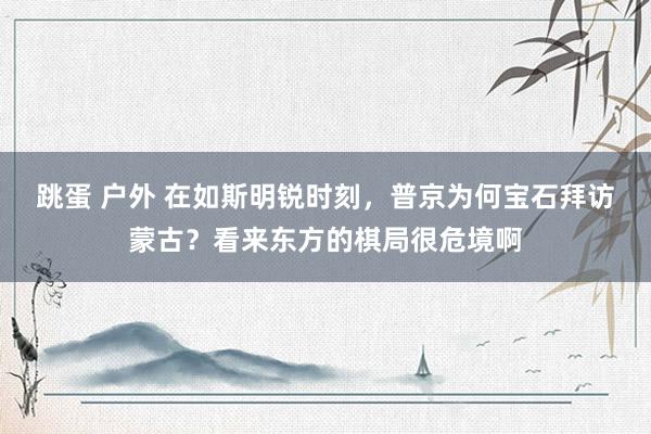 跳蛋 户外 在如斯明锐时刻，普京为何宝石拜访蒙古？看来东方的棋局很危境啊