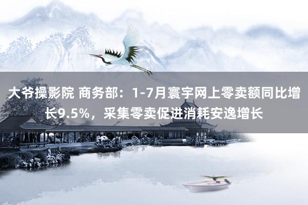 大爷操影院 商务部：1-7月寰宇网上零卖额同比增长9.5%，采集零卖促进消耗安逸增长