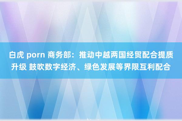 白虎 porn 商务部：推动中越两国经贸配合提质升级 鼓吹数字经济、绿色发展等界限互利配合