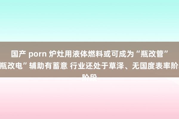 国产 porn 炉灶用液体燃料或可成为“瓶改管”“瓶改电”辅助有蓄意 行业还处于草泽、无国度表率阶段