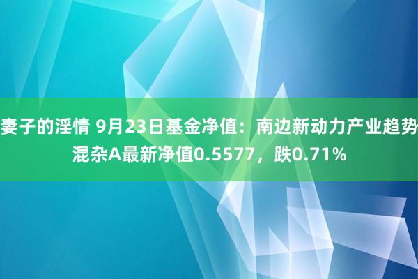 妻子的淫情 9月23日基金净值：南边新动力产业趋势混杂A最新净值0.5577，跌0.71%