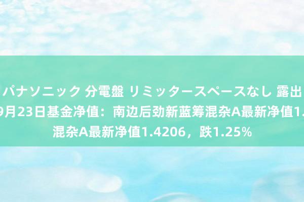 パナソニック 分電盤 リミッタースペースなし 露出・半埋込両用形 9月23日基金净值：南边后劲新蓝筹混杂A最新净值1.4206，跌1.25%