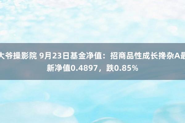 大爷操影院 9月23日基金净值：招商品性成长搀杂A最新净值0.4897，跌0.85%