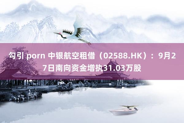 勾引 porn 中银航空租借（02588.HK）：9月27日南向资金增执31.03万股