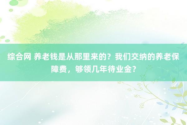 综合网 养老钱是从那里来的？我们交纳的养老保障费，够领几年待业金？