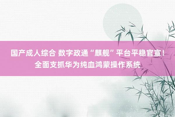 国产成人综合 数字政通“麒舰”平台平稳官宣！全面支抓华为纯血鸿蒙操作系统