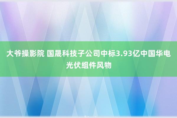 大爷操影院 国晟科技子公司中标3.93亿中国华电光伏组件风物