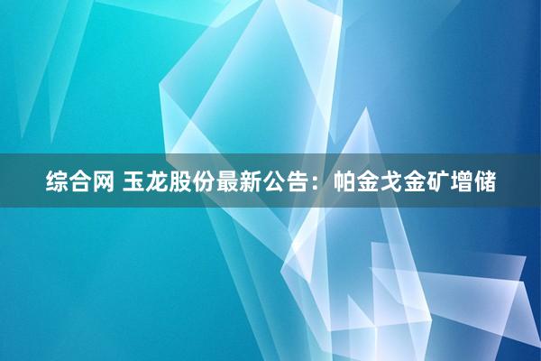 综合网 玉龙股份最新公告：帕金戈金矿增储