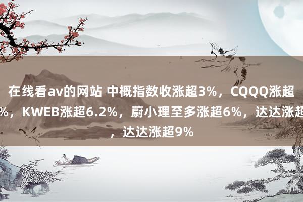 在线看av的网站 中概指数收涨超3%，CQQQ涨超6.9%，KWEB涨超6.2%，蔚小理至多涨超6%，达达涨超9%