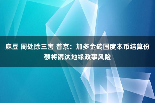 麻豆 周处除三害 普京：加多金砖国度本币结算份额将镌汰地缘政事风险