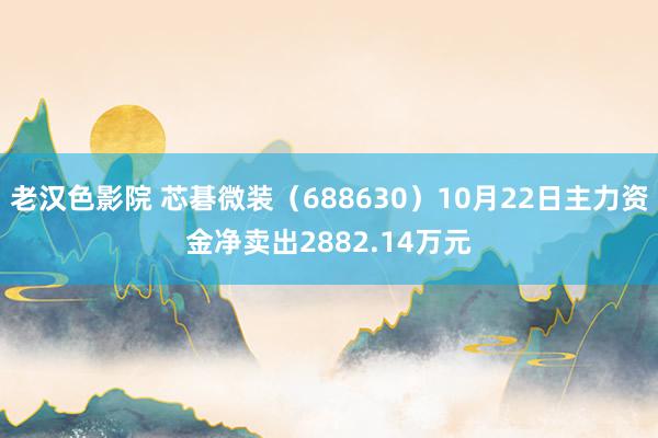 老汉色影院 芯碁微装（688630）10月22日主力资金净卖出2882.14万元