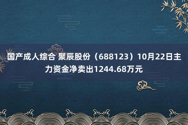 国产成人综合 聚辰股份（688123）10月22日主力资金净卖出1244.68万元