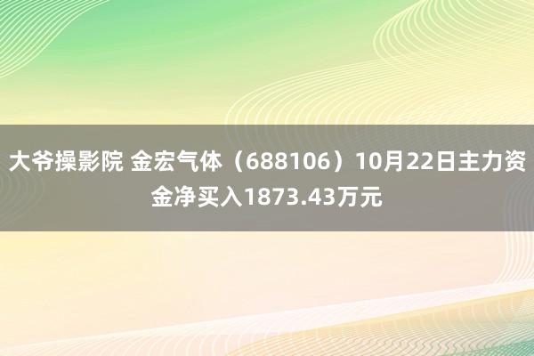 大爷操影院 金宏气体（688106）10月22日主力资金净买入1873.43万元