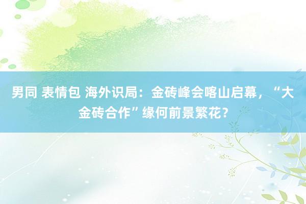 男同 表情包 海外识局：金砖峰会喀山启幕，“大金砖合作”缘何前景繁花？