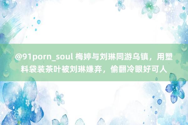 @91porn_soul 梅婷与刘琳同游乌镇，用塑料袋装茶叶被刘琳嫌弃，偷翻冷眼好可人