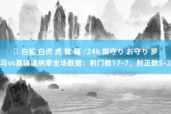 ✨白蛇 白虎 虎 龍 福 /24k 御守り お守り 罗马vs基辅迪纳摩全场数据：射门数17-7，射正数5-2