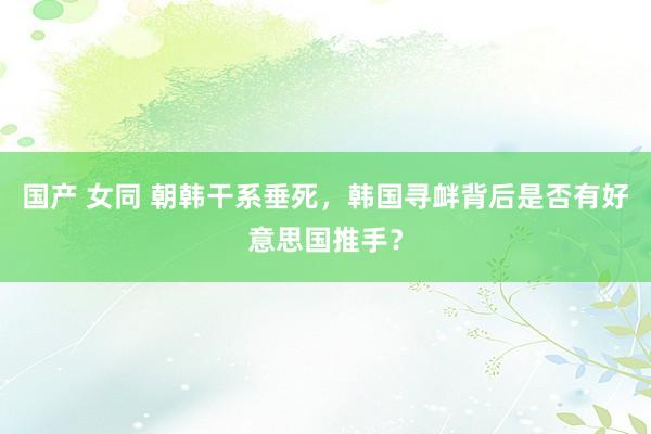 国产 女同 朝韩干系垂死，韩国寻衅背后是否有好意思国推手？