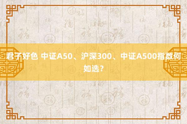 君子好色 中证A50、沪深300、中证A500指数何如选？