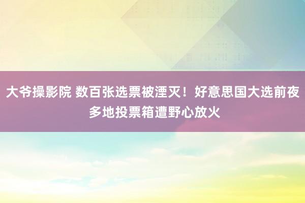 大爷操影院 数百张选票被湮灭！好意思国大选前夜 多地投票箱遭野心放火