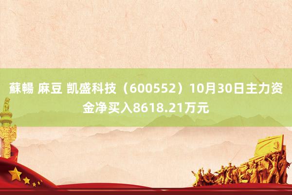 蘇暢 麻豆 凯盛科技（600552）10月30日主力资金净买入8618.21万元