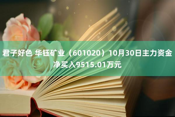 君子好色 华钰矿业（601020）10月30日主力资金净买入9515.01万元