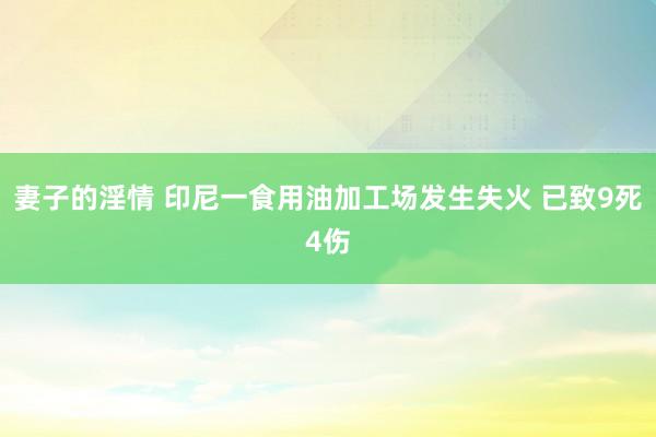 妻子的淫情 印尼一食用油加工场发生失火 已致9死4伤