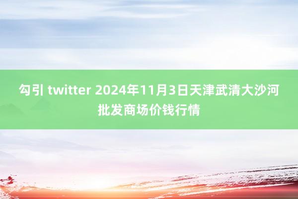 勾引 twitter 2024年11月3日天津武清大沙河批发商场价钱行情