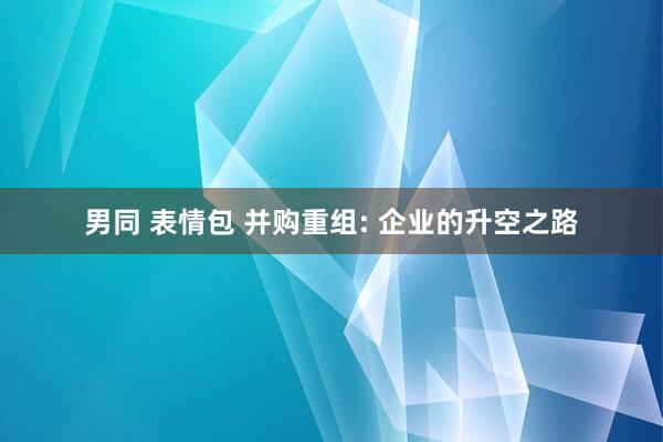 男同 表情包 并购重组: 企业的升空之路