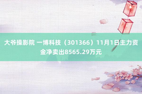 大爷操影院 一博科技（301366）11月1日主力资金净卖出8565.29万元