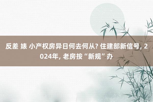 反差 婊 小产权房异日何去何从? 住建部新信号， 2024年， 老房按“新规”办