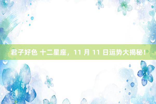 君子好色 十二星座，11 月 11 日运势大揭秘！