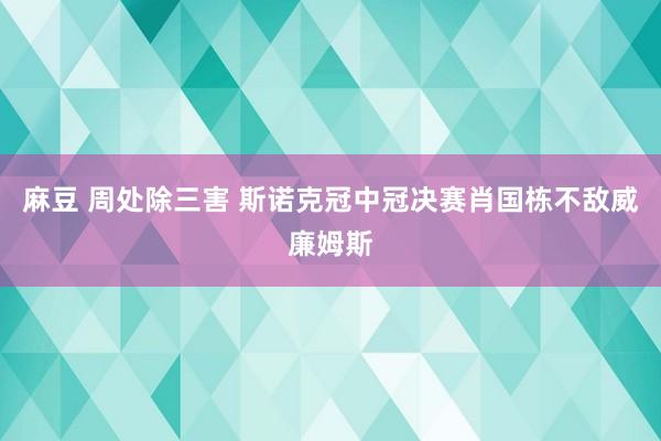 麻豆 周处除三害 斯诺克冠中冠决赛肖国栋不敌威廉姆斯