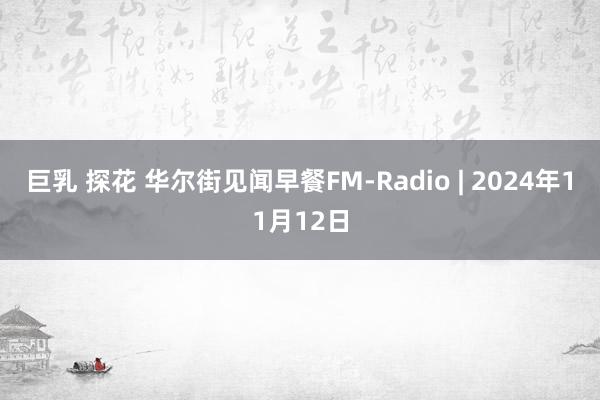 巨乳 探花 华尔街见闻早餐FM-Radio | 2024年11月12日