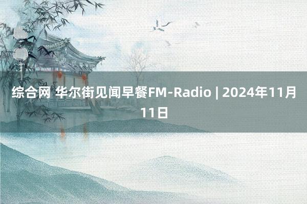 综合网 华尔街见闻早餐FM-Radio | 2024年11月11日