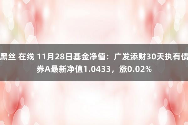 黑丝 在线 11月28日基金净值：广发添财30天执有债券A最新净值1.0433，涨0.02%