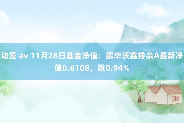 动漫 av 11月28日基金净值：鹏华沃鑫搀杂A最新净值0.6108，跌0.94%