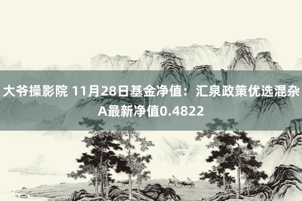 大爷操影院 11月28日基金净值：汇泉政策优选混杂A最新净值0.4822