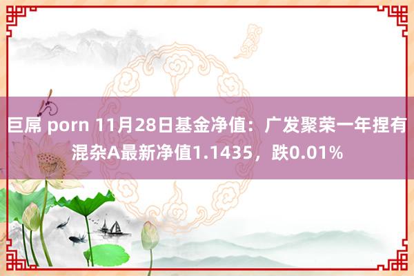 巨屌 porn 11月28日基金净值：广发聚荣一年捏有混杂A最新净值1.1435，跌0.01%