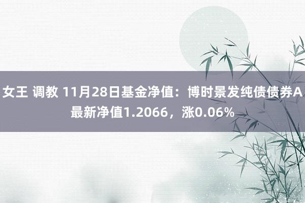 女王 调教 11月28日基金净值：博时景发纯债债券A最新净值1.2066，涨0.06%