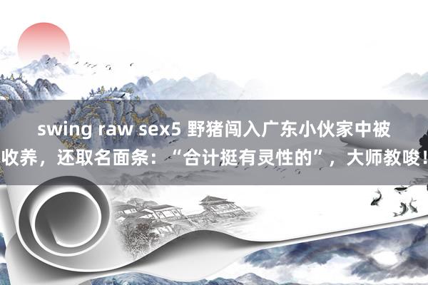 swing raw sex5 野猪闯入广东小伙家中被收养，还取名面条：“合计挺有灵性的”，大师教唆！