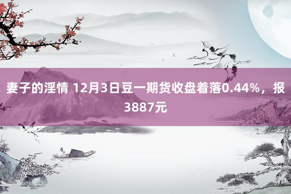 妻子的淫情 12月3日豆一期货收盘着落0.44%，报3887元